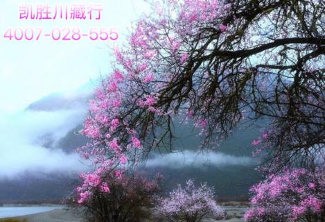 2019年318川藏线国道最新路况，2019年想去川藏线的赶紧收藏！