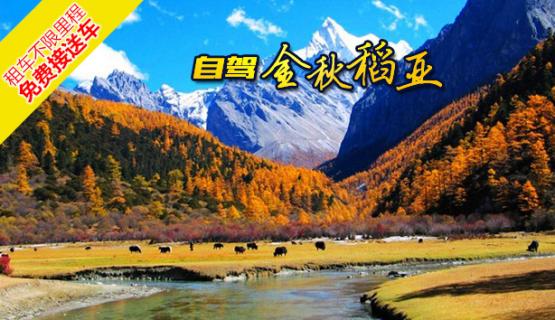 进藏最关键的8条路线详解